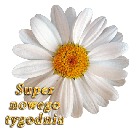 Rumianek nowego tygodnia